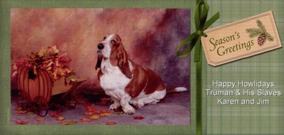 What a handsome Basset