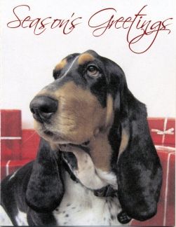 One of our Basset cards from Canada, Stella