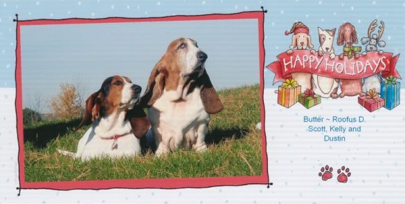 Who's a Basset Goat?