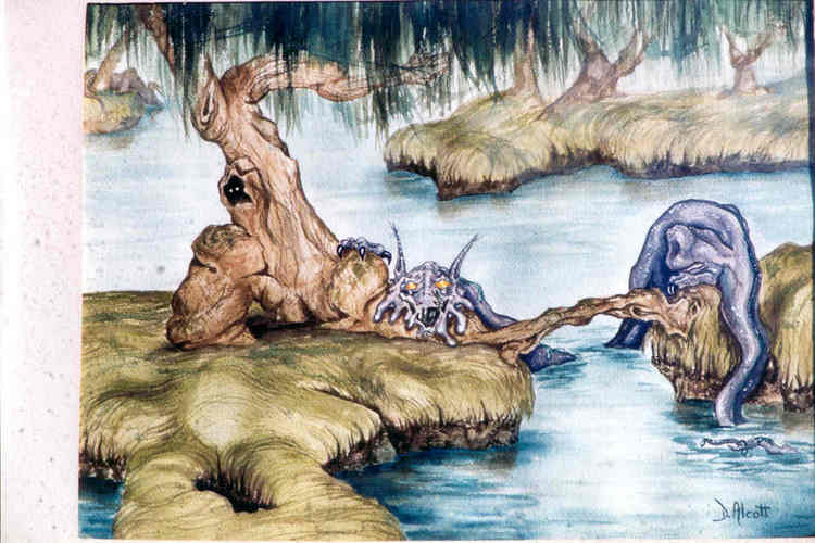 Swamp Illustration
