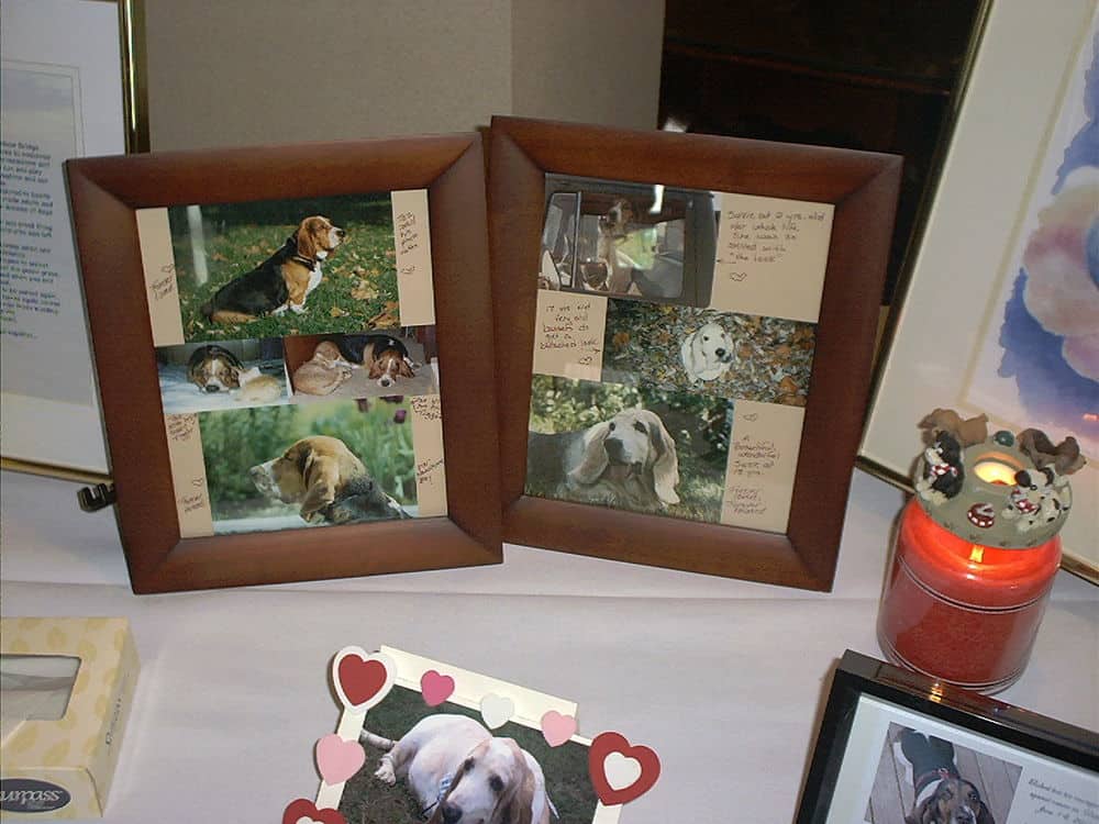 Memory table at Michigan, featuring Taz and Suzie.